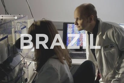 Cancer Data from Brazil